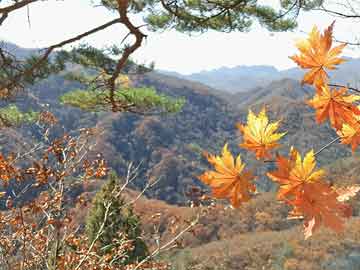 怀孕大月份能不能用米非司酮第137届广交会闭幕 多项指标刷新历史纪录
